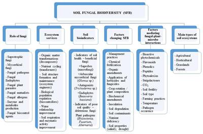 Fungal Biodiversity and Their Role in Soil Health